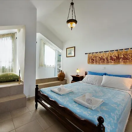 Beachfront Seashell Superior *