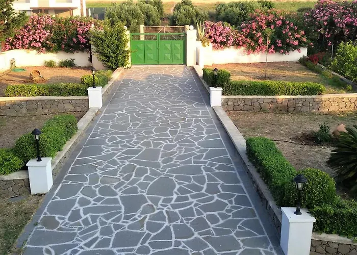 Beachfront Seashell Superior