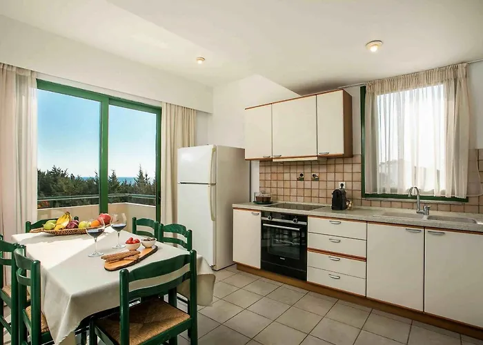 Beachfront Seashell Superior