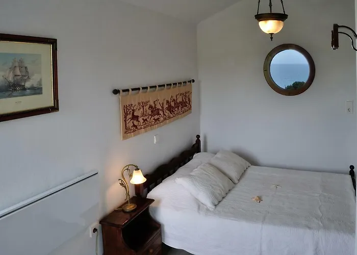 Beachfront Seashell Superior