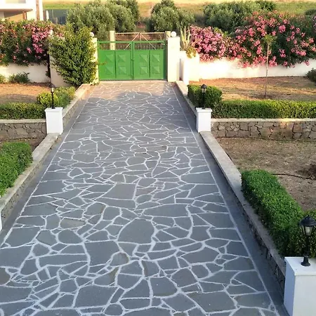 Beachfront Seashell Superior