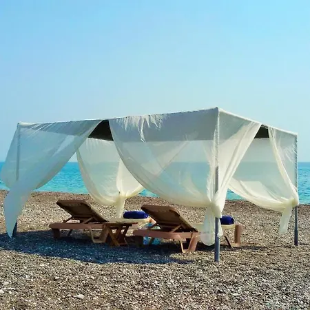 Beachfront Seashell Superior * Gennadi