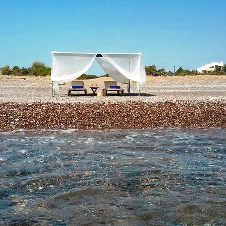 Beachfront Seashell Superior Gennadi