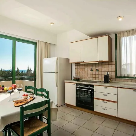 Beachfront Seashell Superior