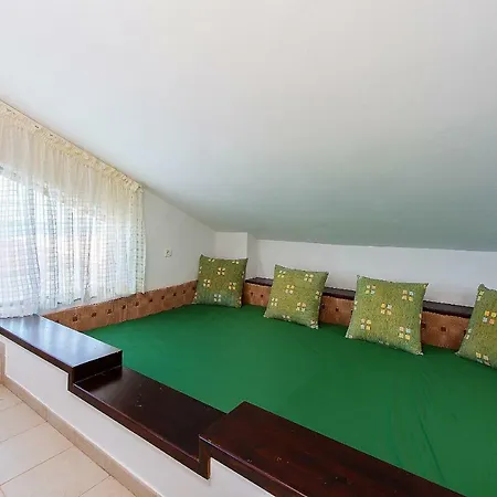 Beachfront Seashell Superior *