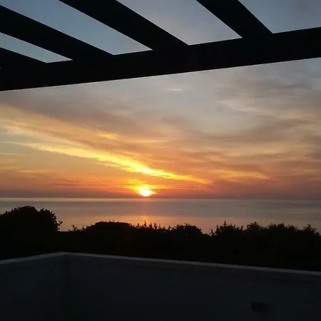 Beachfront Seashell Superior