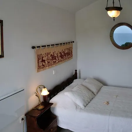 Beachfront Seashell Superior