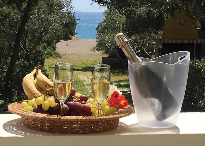 Beachfront Seashell Superior *