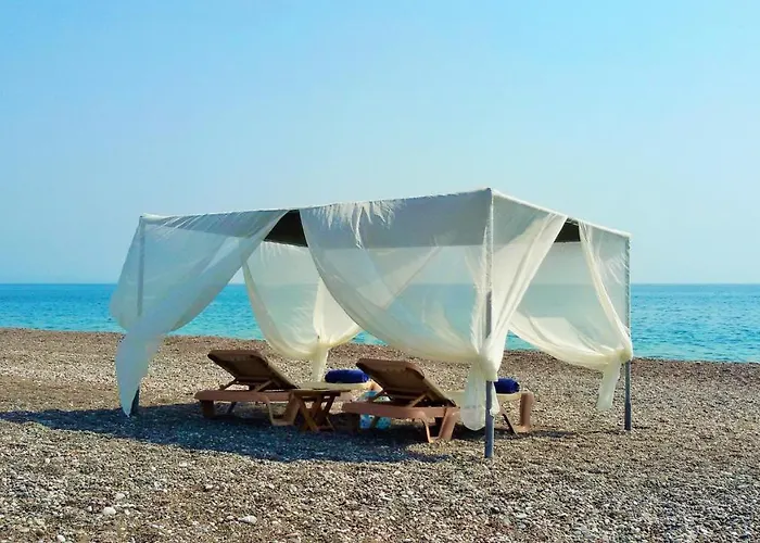 Beachfront Seashell Superior * 겐나디