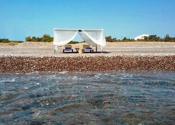 Beachfront Seashell Superior 겐나디