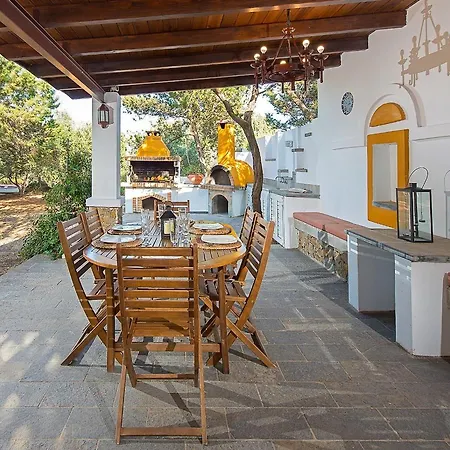 Beachfront Seashell Superior *