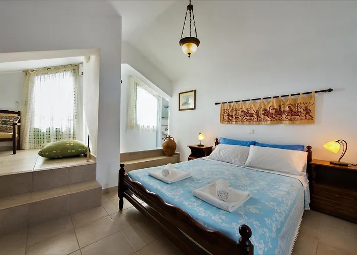 Beachfront Seashell Superior *