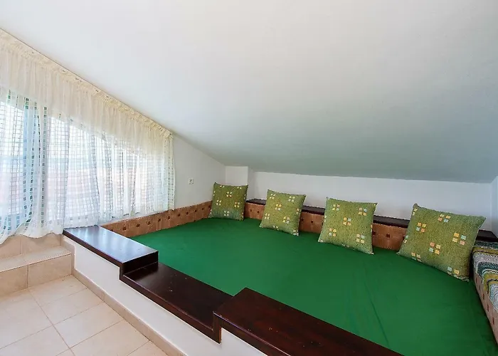 Beachfront Seashell Superior *