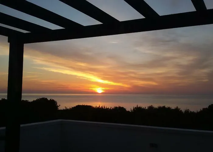 Beachfront Seashell Superior